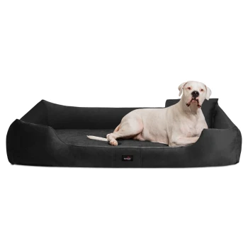 VINCENT High-Tech-Velours (Triton) und Cord - Orthopädisches Hundebett schwarz 90 cm, 22 cm, 75 cm Ein weißer Hund entspannt sich auf einem großen, dunkelgrauen Haustierbett mit erhöhten Rändern, das ein kleines Logotag auf der Vorderseite hat.