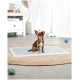 Ein kleiner brauner Chihuahua sitzt auf einer hellgrauen Matte in einem hellen Raum mit einem gewebten Teppich, umgeben von bunten Hundespielzeugen.