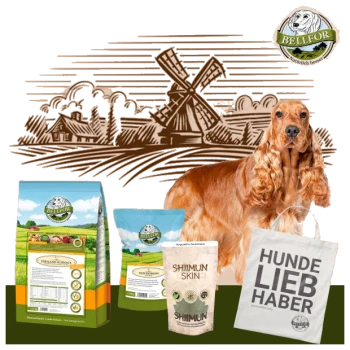 Ein goldenes Cocker Spaniel steht neben Bellfor Hundefuttertüten, mit einer Windmühlenkulisse und einer Tragetasche, auf der steht "HUNDE LIEB HABER."
