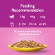 Feeding recommendation chart for cats, showing portion sizes for 3 kg, 4 kg, and 5 kg cats, with a bowl of cat food.