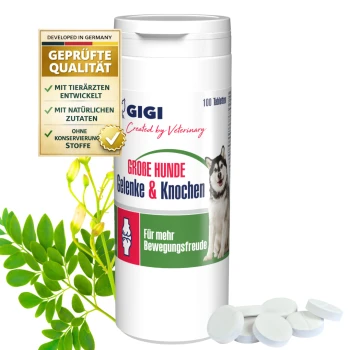 Behälter mit GIGI Gelenk- und Knochen-Tabletten für große Hunde, mit einem Bild eines Huskys, mit dem Text "100 Tabletten" und "Für mehr Bewegungsfreude".