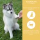 Eine Frau mit einer schwarzen Katze sitzt neben einem wolfähnlichen Hund in einem Garten mit lila Blumen. Text oben bewirbt Wolfsbacher Naturprodukte.
