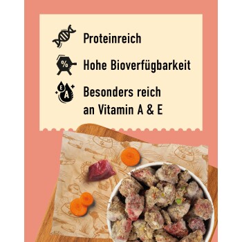 Eine Haustierschüssel, gefüllt mit Fleischstücken, umgeben von Spinat, Hafer und zwei Karotten, mit der Aufschrift "DIBO" und dem Slogan "Für die Besten das Beste."