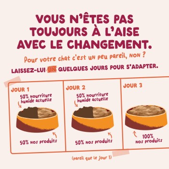 Graphique en trois volets de gamelles pour chats avec texte français : Jour 1–2 mélange 50 % ancienne nourriture humide / 50 % nouvelle ; Jour 3 100 % nouvelle.