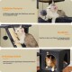 Orangener getigerter Kater liegt auf einer schwarzen, extra großen Hängematten-Katzenliege mit den Maßen 41 cm mal 51 cm und Text über Gewichtsstützung.