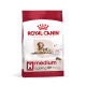 Sac de nourriture pour chien Royal Canin Medium Ageing 10+ mettant en avant un chien senior, avec un texte soulignant le soutien à la masse musculaire et le soutien à la vitalité tout au long de la vie.