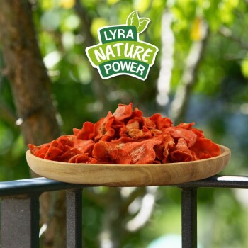 Holzplatte mit getrockneten orangen Tierleckerlis auf einem Geländer, darüber das Logo „Lyra Nature Power“.