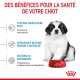 Image d'un chiot duveteux assis à côté d'un bol rouge de nourriture pour chiens Royal Canin, avec un texte mettant en avant les bienfaits pour la santé des chiots en français.