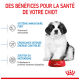 Image d'un chiot duveteux assis à côté d'un bol rouge de nourriture pour chiens Royal Canin, avec un texte mettant en avant les bienfaits pour la santé des chiots en français.