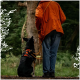 Eine Person in einer orangefarbenen Jacke steht mit dem Rücken zur Kamera und hält eine Leine, die an einem schwarz-braunen Hund mit einem Geschirr befestigt ist.