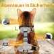 Eine braune Katze in einem grauen reflektierenden Geschirr mit sicheren Schnallen, vor einem verschwommenen Außenhintergrund. Der Text lautet "Abenteuer in Sicherheit."