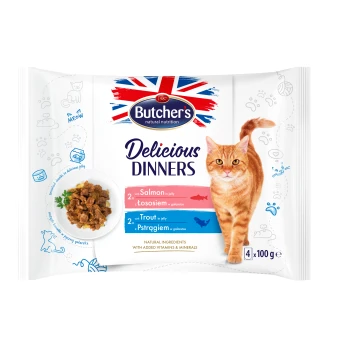 Opakowanie karmy dla kotów z rudy kotem, oznaczone "Butcher's Delicious Dinners", z smakami łososia i pstrąga w galaretce.