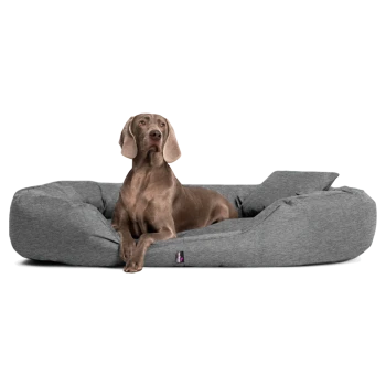 Graues Hundebett mit einem braunen Weimaraner, der darin liegt, Etikett vorne am Bett sichtbar.