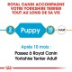 Guide Royal Canin pour Yorkshire Terriers, indiquant "Puppy" pour 2 mois et "Adult" pour 10 mois, avec une note pour passer à la nourriture pour adultes.