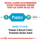 Guide Royal Canin pour Yorkshire Terriers, indiquant "Puppy" pour 2 mois et "Adult" pour 10 mois, avec une note pour passer à la nourriture pour adultes.