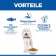Ein flauschiger weißer Hund steht neben einer Futterschüssel, mit dem Text: "Hochwertiger Lachs," "Mild zum Magen," "Omega-3 & Omega-6 für gesunde Haut."