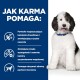 Puszysty pies siedzi z uśmiechem na niebieskim tle z tekstem opisującym, jak karma dla psów pomaga rozpuszczać kamienie struwitowe i zmniejszać ryzyko nawrotu.