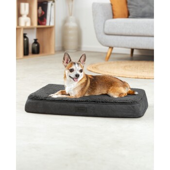 Ein kleiner, glücklicher Hund mit braunem und weißem Fell liegt auf einem plüschigen, dunkelgrauen Hundebett, das mit "lionto" beschriftet ist, in einem gemütlichen Wohnzimmer.