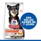 Science Plan Perfect Digestion Adult Small & Mini au poulet 3 kg