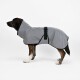 Ein Hund in einem grauen wasserdichten Regenmantel mit Kapuze, der seitlich vor einem weißen Hintergrund steht.