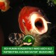 Nahaufnahme eines rot-weißen Koi-Fisches mit Blasen und dem Text: "Koi-Humin Konzentrate: 'Antibiotika aus der Natur'" mit einem biologisch abbaubaren Logo.