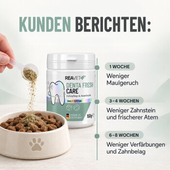 Nahaufnahme eines Hundes mit einer Metallschüssel im Mund, neben einem Textfeld mit Fütterungsempfehlungen für Hunde und Katzen.