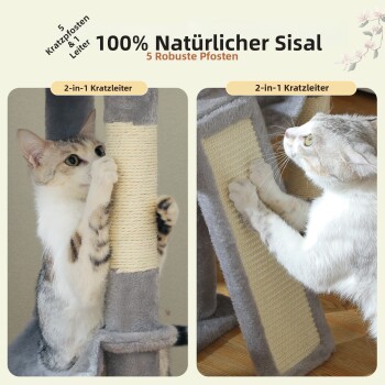 Katze ruht in einem grauen, fächerförmigen Katzenhaus mit den Maßen 30 cm/11,8", aus einem Online-Tierfachgeschäft.