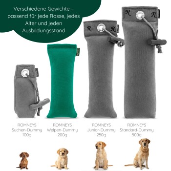 Schwarzer Hund läuft durch Wasser und trägt ein blaues Spielzeug im Maul.