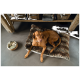 Ein brauner Hund, der auf einem plüschigen, pelzigen Haustierbett ruht, neben einer Holzschüssel, die mit Hundeleckerlis gefüllt ist.