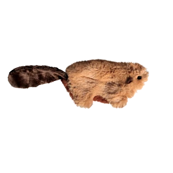 Kleines braunes Plüsch-Biber-Katzenspielzeug mit flauschigem Fell, dunklem flachem Schwanz und schwarzen Perlenaugen auf weißem Hintergrund.