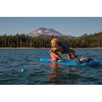 Ein Golden Retriever in einer blauen Schwimmweste springt von einem Paddleboard in einen See, mit einem Berg und Wald im Hintergrund.
