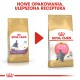 Obraz dwóch toreb karmy dla kociąt Royal Canin dla kotów brytyjskich krótkowłosych, prezentujących nowe opakowanie i ulepszoną formułę.
