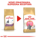 Obraz dwóch toreb karmy dla kociąt Royal Canin dla kotów brytyjskich krótkowłosych, prezentujących nowe opakowanie i ulepszoną formułę.