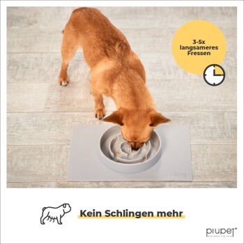 Ein kleiner brauner Hund frisst aus einer langsamen Futter-Schüssel auf einem Holzboden, mit dem Text 'Kein Schlingen mehr' und '3-5x langsameres Fressen.'