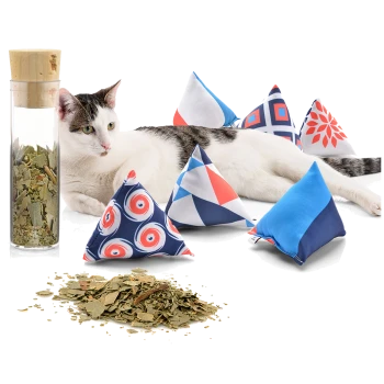 Eine verspielte Katze liegt neben bunten dreieckigen Katzenminze-Spielzeugen und einem Glasbehälter, der mit getrockneten Katzenminzblättern gefüllt ist.