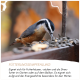 Vogel frisst Sonnenblumenkerne an einem Futterspender mit deutschem Text zu Fütterungsempfehlungen für den Winter.