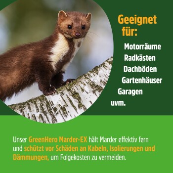 Eine Sprühflasche mit dem Etikett "GREEN HERO Marder-EX" mit einem Bild eines Marders, vor einem braunen Hintergrund. Der Text schlägt die Verwendung in unerwünschten Marderbereichen vor.
