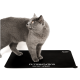 Eine graue Katze steht auf einer schwarzen Futtermatte mit dem Text 'FUTTERSTATION kleckern erlaubt', der in Weiß gedruckt ist.