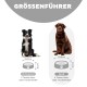 Bild einer Größenübersicht für Hundenäpfe, mit einem mittelgroßen Hund (22,2 cm Schüssel, 2 Tassen) und einem großen Hund (29,9 cm Schüssel, 4 Tassen).