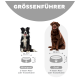 Bild einer Größenübersicht für Hundenäpfe, mit einem mittelgroßen Hund (22,2 cm Schüssel, 2 Tassen) und einem großen Hund (29,9 cm Schüssel, 4 Tassen).