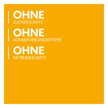 Orangenes quadratisches Grafikelement mit weißem Text: 'OHNE ZUCKERZUSATZ', 'OHNE KONSERVIERUNGSSTOFFE', 'OHNE GETREIDEZUSATZ'.