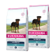 Eukanuba ras-specifiek hondenvoer voor Rottweilers, 12 kg zakken, gelabeld voor volwassen honden, met een Rottweiler op de verpakking.