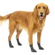 Ein Golden Retriever, der graue Hundesocken trägt, mit dem Markennamen "Kurgo" sichtbar an den Bündchen, steht auf einem weißen Hintergrund.