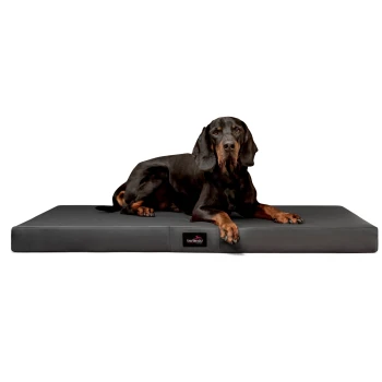 Ein großer schwarzer Hund, der bequem auf einem dicken, schwarzen Haustierbett liegt, mit einem kleinen roten und weißen "tierlando"-Logo, das an der Seite sichtbar ist.