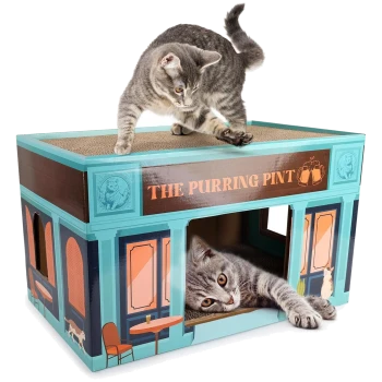 Zwei graue getigerte Katzen benutzen ein türkisfarbenes Karton-Kratzhaus in Form eines Pubs mit der Aufschrift 'THE PURRING PINT'.