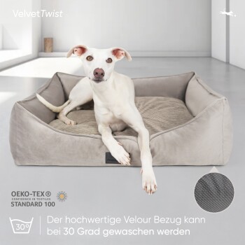 Ein Hund entspannt sich auf einem grauen, waschbaren Haustierbett mit einem Veloursbezug und Oeko-Tex-Zertifizierung.