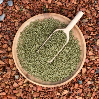 Eine Holzschüssel gefüllt mit kleinen grünen Pellets, begleitet von einem Holzlöffel, vor einem Hintergrund aus rötlichem Kies.