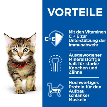 Ein verspieltes Kätzchen mit rotem Halsband steht vor einem blauen Hintergrund, der die Vorteile von Haustierfutter wie Vitamine, Mineralien und Protein hervorhebt.