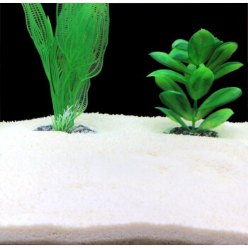 Zwei künstliche Wasserpflanzen: eine hohe und federartige grüne, die andere kurz mit breiten Blättern, auf weißem Sand mit schwarzem Hintergrund.