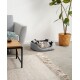 Eine graue Katze, die sich in einem gemütlichen Haustierbett mit schwarz-grauen Streifen entspannt, in einem modernen Wohnzimmer mit einem Couchtisch und einer Topfpflanze.